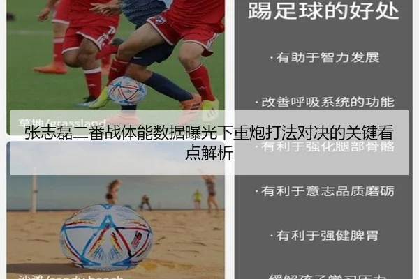 张志磊二番战体能数据曝光下重炮打法对决的关键看点解析
